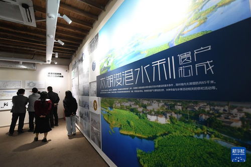 水清岸綠民富 綠色太湖譜新篇——新時代長三角區(qū)域文化場館管理服務(wù)的創(chuàng)新實(shí)踐